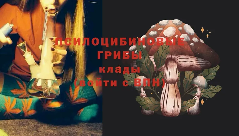 Псилоцибиновые грибы мицелий  Кстово 